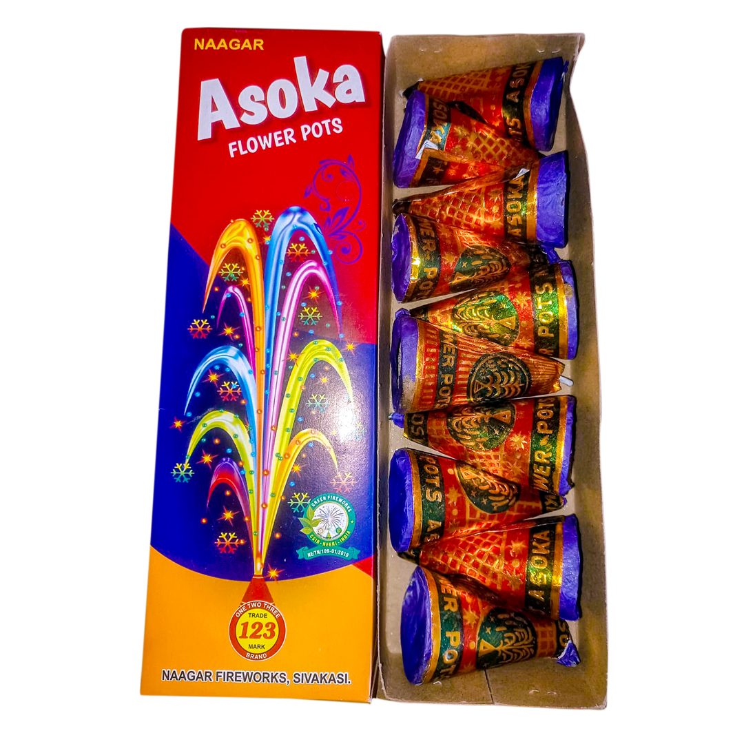 Flower Pot Asoka